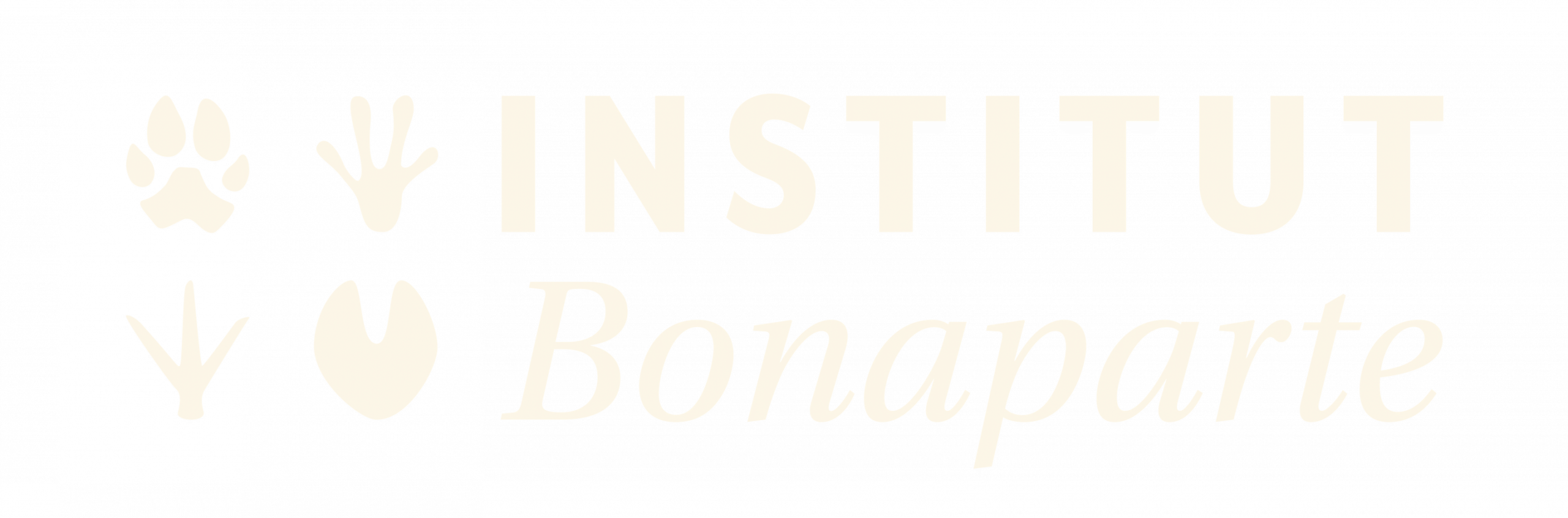 Institut Bonaparte